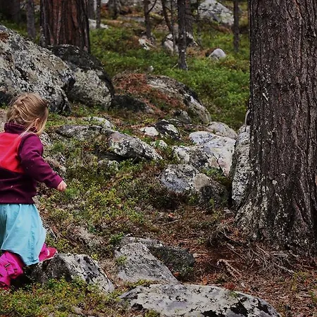 Kamp alanı Ovre Pasvik Camping Kirkenes