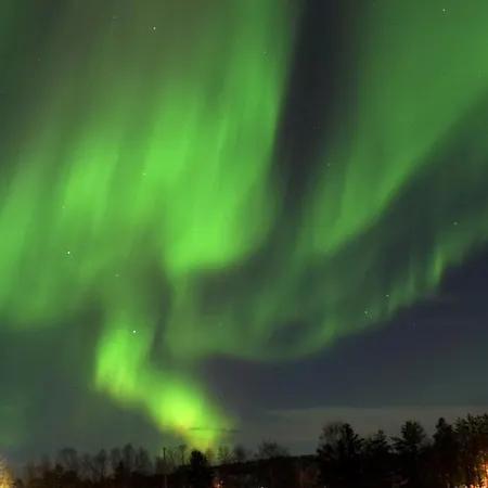Ovre Pasvik Camping