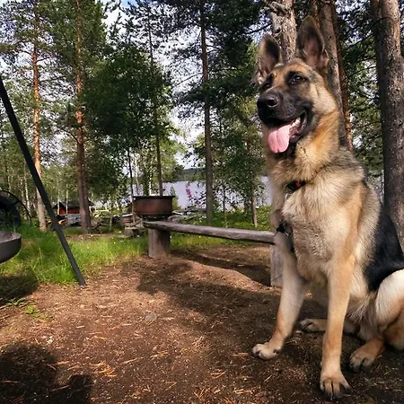 Kamp alanı Ovre Pasvik Camping