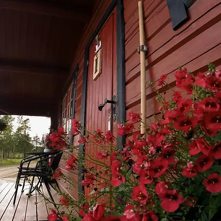 Kamp alanı Ovre Pasvik Camping Kirkenes
